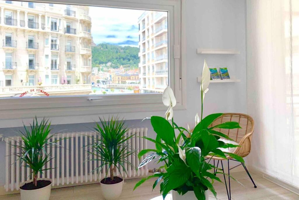 New Gorgeous Central Apartment - Beachfront - 3 Bd Сан Себастиан Екстериор снимка
